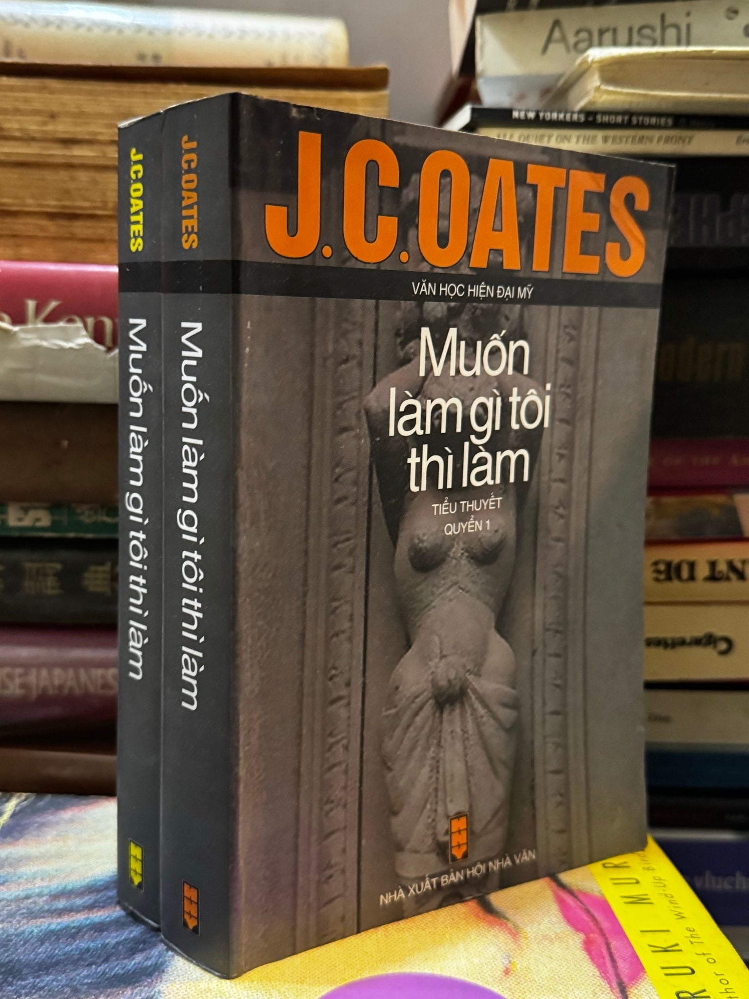  Muốn làm gì tôi thì làm (Bộ 2 cuốn) - J.C.Oates 
