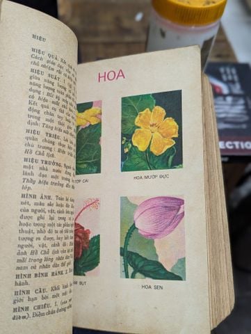  TỪ ĐIỂN HỌC SINH - NGUYỄN LƯƠNG NGỌC & LÊ KHẢ KẾ CHỦ BIÊN 