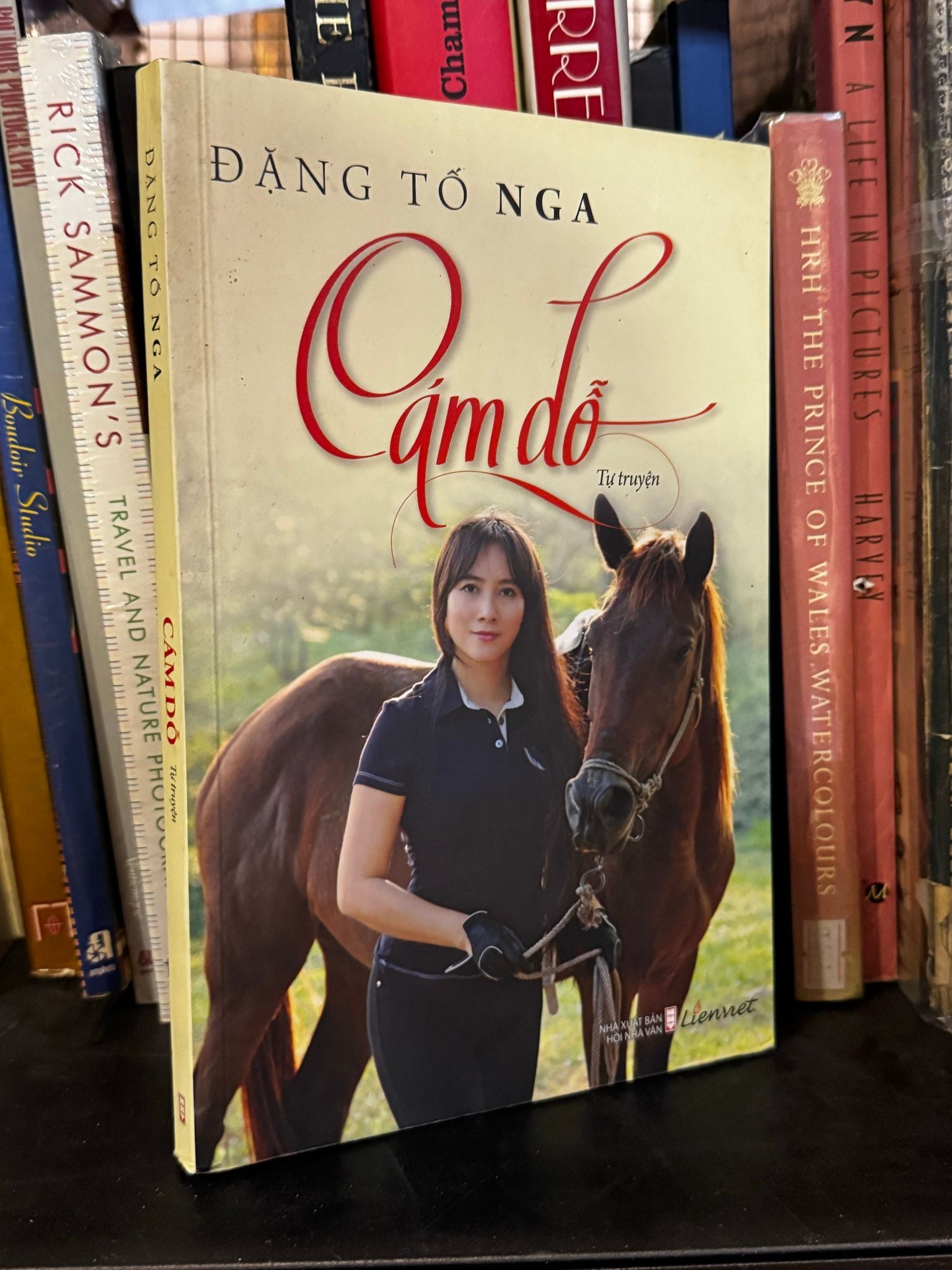  Cám dỗ - Đặng Tố Nga 