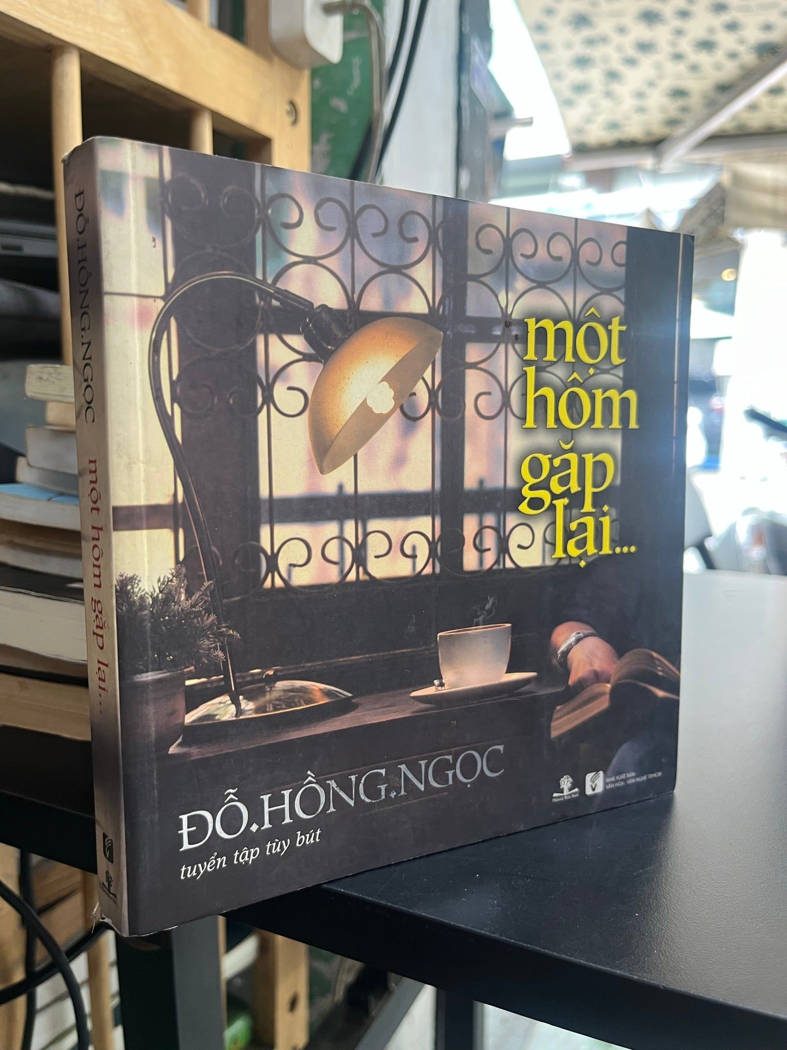  Một hôm gặp lại - Đỗ Hồng Ngọc 