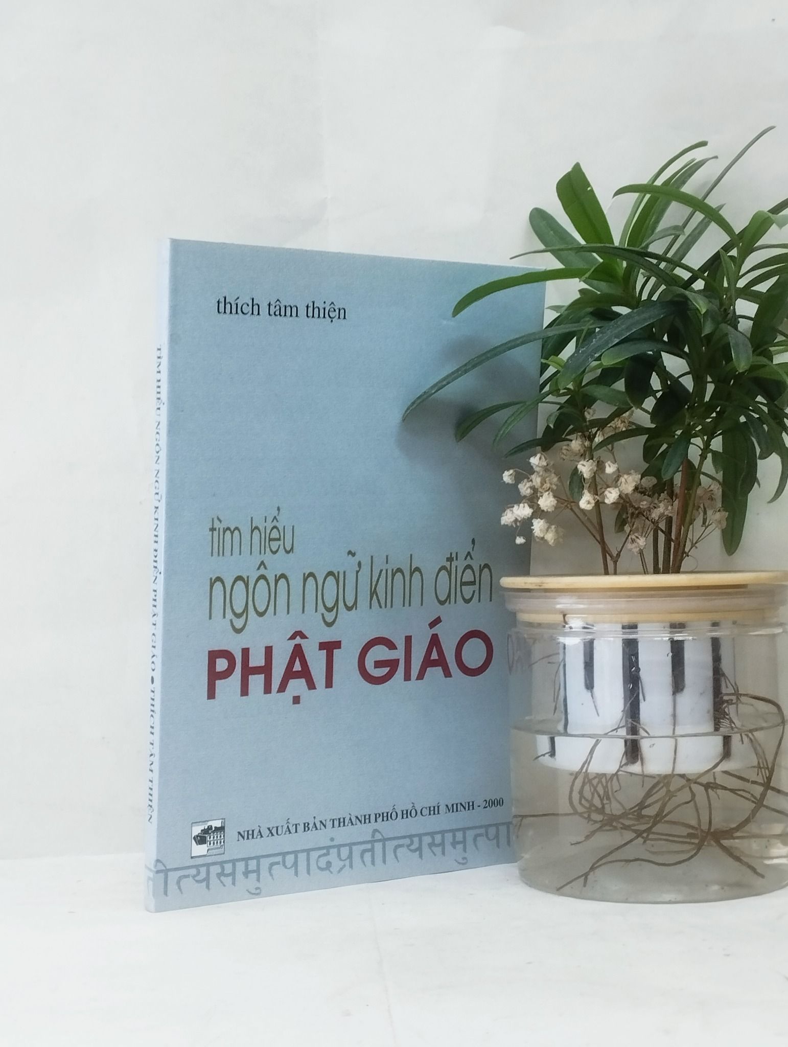  Tìm hiểu ngôn ngữ kinh điển Phật giáo - Thích Tâm Thiện 