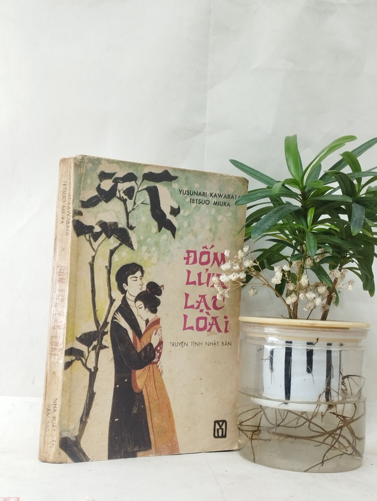 Đốm lửa lạc loài Yusunari Kawabata và Tetsuo Miura Momo Bookstore