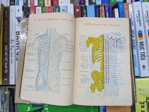  Y án châm cứu thực nghiệm - Thượng Trúc 