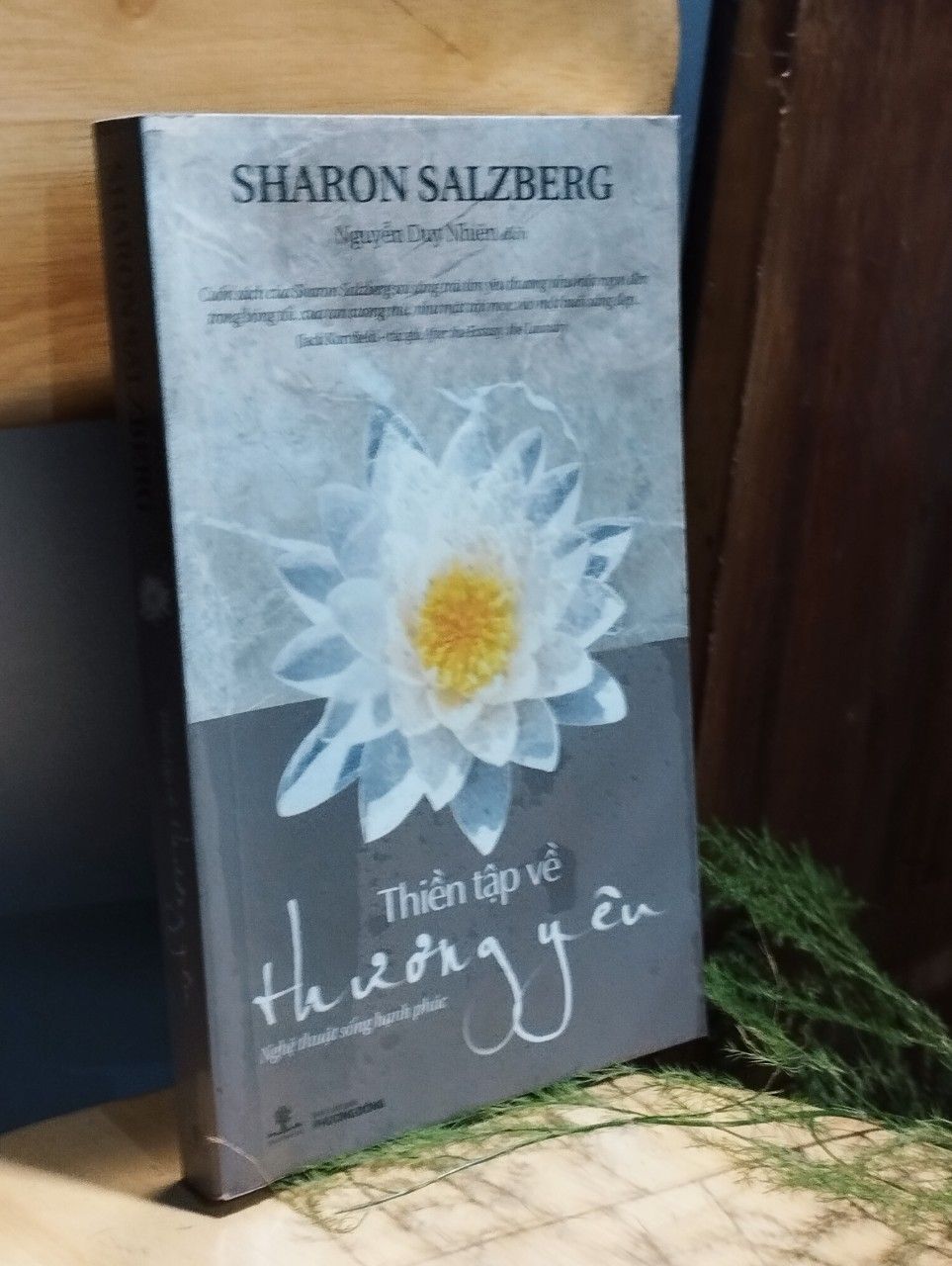  Thiền tập về thương yêu - Sharon Salzberg 