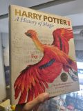  HARRY POTTER : A HISTORY OF MAGIC 
