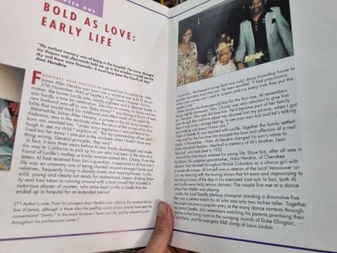  JIMI HENDRIX : THE ILLUSTRATED - GEOFFREY GIULIANO 