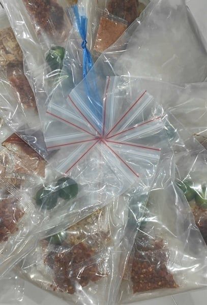 BT MUỐI BÒ SATE