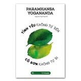 Tình yêu không tự đến, cô đơn không tự đi
