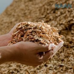 CUNG CẤP NHIÊN LIỆU BIOMASS