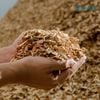 CUNG CẤP NHIÊN LIỆU BIOMASS