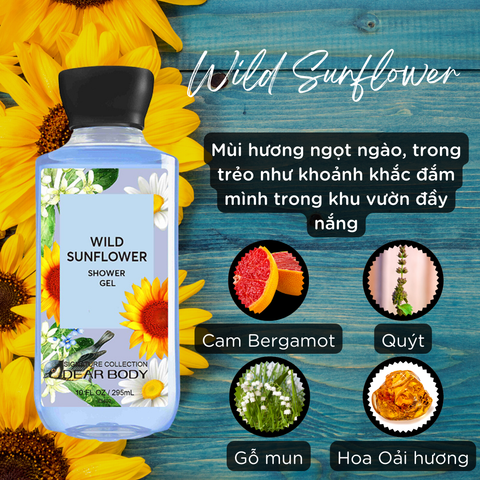  Sữa Tắm Nước Hoa Wild Sunflower Shower Gel - Dưỡng Ẩm Thơm Lâu 295ml (Limited Edition) 