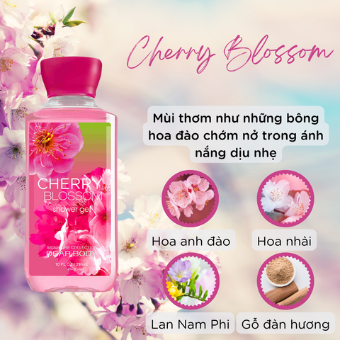  Sữa Tắm Nước Hoa Cherry Blossom Shower Gel - Dưỡng Ẩm Thơm Lâu 295ml 