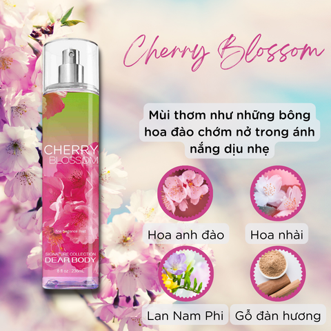  Xịt Thơm Toàn Thân Cherry Blossom Fine Fragance Body Mist 236ml 