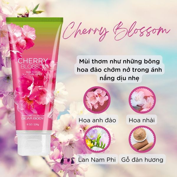  Kem Dưỡng Thể Nước Hoa Cherry Blossom Body Cream - Thơm Lâu Mềm Mịn Da 226g 