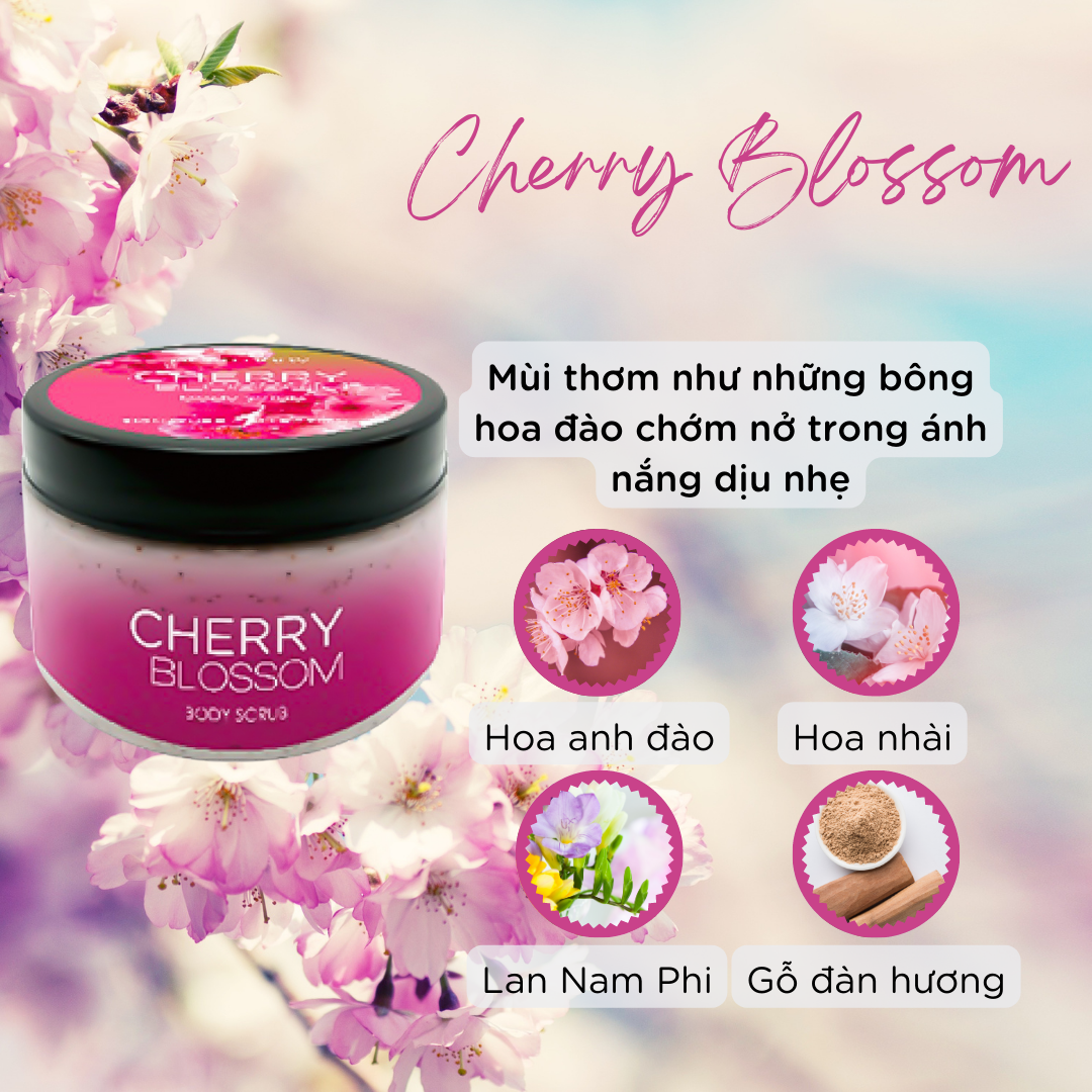  Tẩy Tế Bào Chết Toàn Thân Cherry Blossom Body Scrub 350ml 