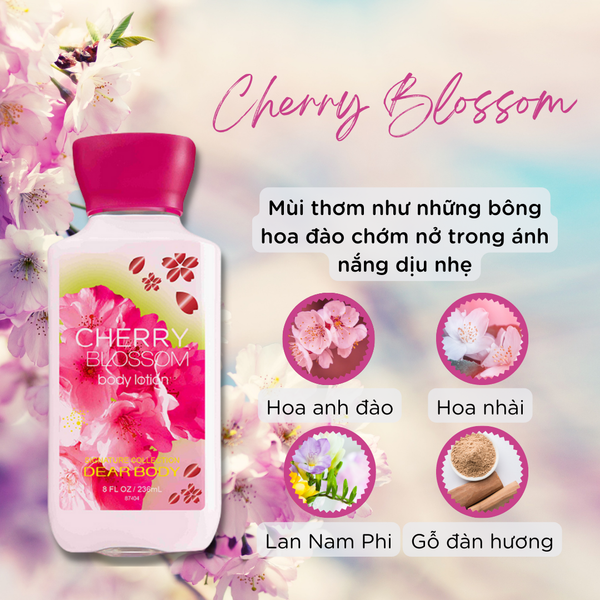  Sữa Dưỡng Thể Nước Hoa Cherry Blossom Body Lotion - Thơm Lâu Mềm Mịn Da 236ml 