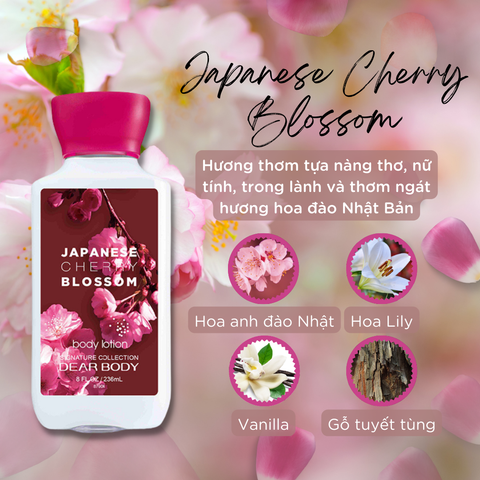  Sữa Dưỡng Thể Nước Hoa Japanese Cherry Blossom Body Lotion - Thơm Lâu Mềm Mịn Da 236ml 