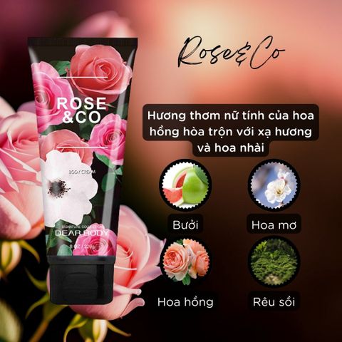  Kem Dưỡng Thể Nước Hoa Rose&Co Body Cream - Thơm Lâu Mềm Mịn Da 226g 