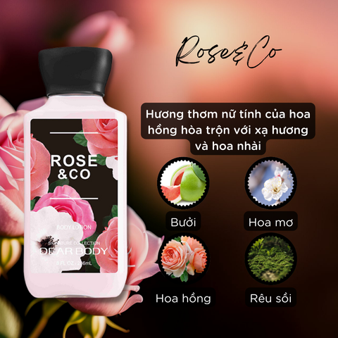  Sữa Dưỡng Thể Nước Hoa Rose&Co Body Lotion - Thơm Lâu Mềm Mịn Da 236ml 