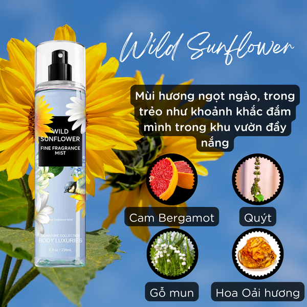  Xịt Thơm Toàn Thân Wild Sunflower Fine Fragance Body Mist 236ml (Limited Edition) 