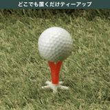  Tee ốc Tabata GV1409 