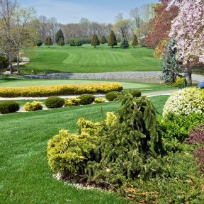  Thuốc diệt cỏ Segment® II 