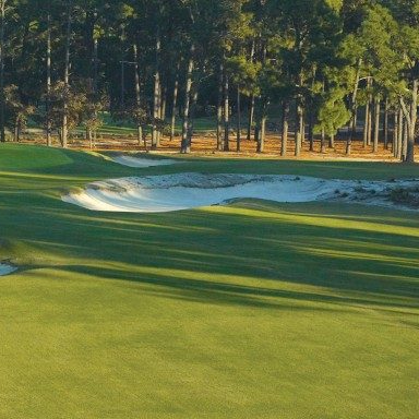  Thuốc diệt cỏ Pendulum® 2G 