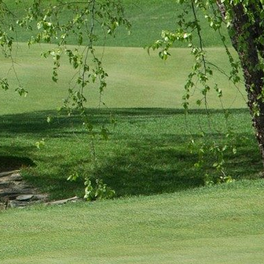  Thuốc diệt cỏ Drive® XLR8 