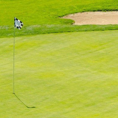  Chỉ số phun cỏ màu xanh lá Turf Mark® 