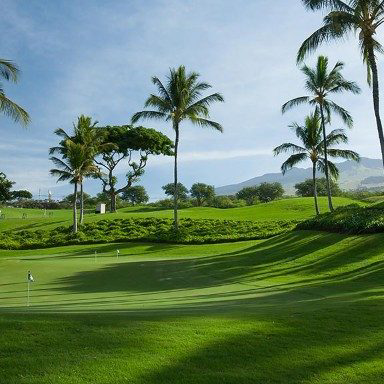  Chỉ số phun cỏ màu xanh dương Turf Mark® 