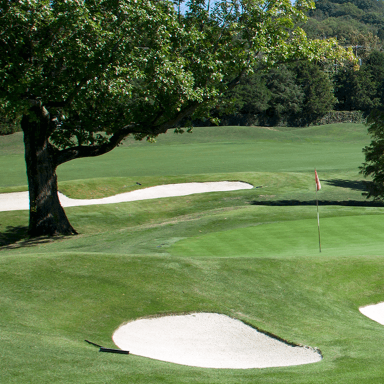  Thuốc diệt cỏ Pylex® 