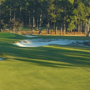  Thuốc diệt côn trùng Siesta® 