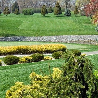  Thuốc diệt cỏ Basagran® T&O 