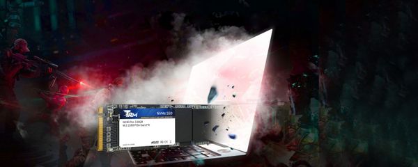 Ổ cứng SSD TRM N100 Pro 128GB (NVMe M.2 2280/ PCIe Gen3 x4)