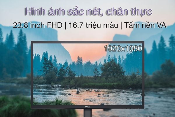 Màn hình Dell SE2422H (23.8 Inch/fhd/va/75HZ/5MS/250NITS/hdmi+vga)