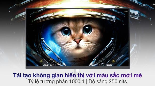 Màn hình Dell P2422H 23.8 inch FHDIPS60Hz5msDisplayPort