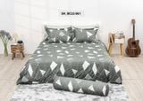  Bộ chăn ga gối cotton SH_BC22 061 