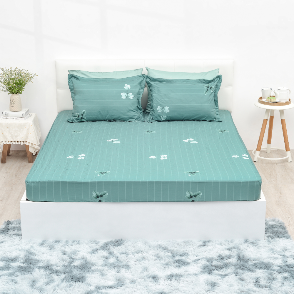  Bộ chăn ga gối cotton SH_BC22 063 