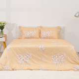  Bộ chăn ga gối cotton SH_BC22 066 