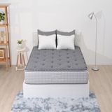  Đệm Back Essential SH_DB22 003 