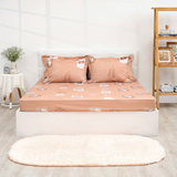  Bộ chăn ga gối cotton SH_BC22 062 