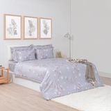  Chăn ga gối cotton SH_BC23 075 