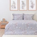  Chăn ga gối cotton SH_BC23 075 