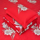  Chăn ga gối cotton SH_BC23 086 