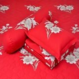  Chăn ga gối cotton SH_BC23 086 