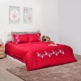  Bộ chăn ga gối Cotton SH_UC23 038 