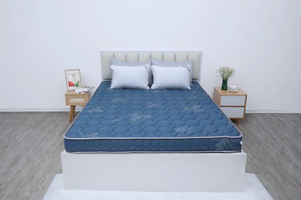  Đệm bông tinh khiết TH3 SH_DF25 304 