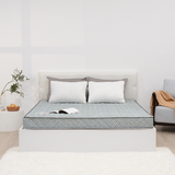  Đệm bông tinh khiết TH3 SH_DF21 002 