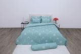  Bộ chăn ga gối cotton SH_BC25 114 