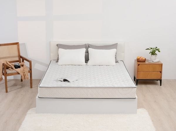 Đệm bông tinh khiết TH3 SH_DF22 003 
